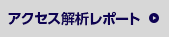 アクセス解析レポート